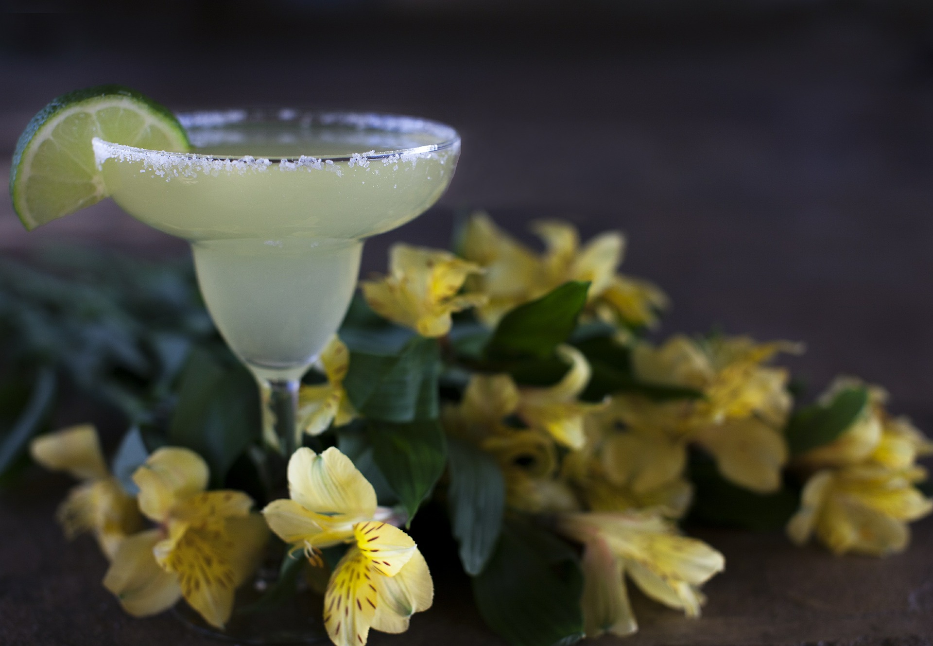 Margarita Day