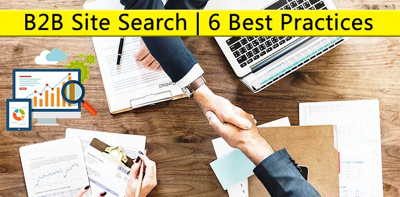 B2B Site Search