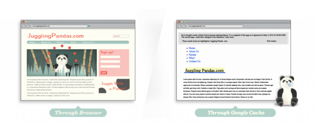Custom Web Design