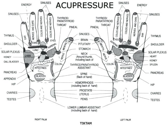 Acupressure Points Chart