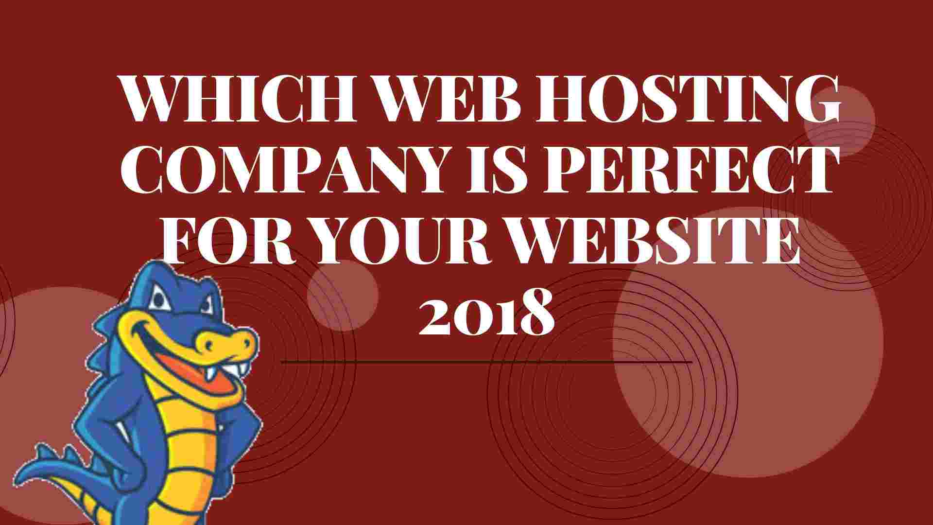 which webhosting company is perfect for your website